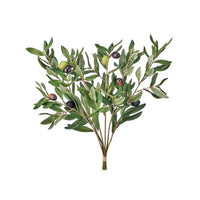 Olive Leaf Bundle X6  19