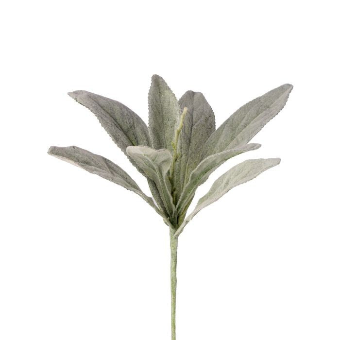 Flocked Lambs Ear Plant 16"