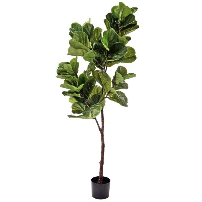 Ptd. Pu Fiddle Leaf Tree 65"