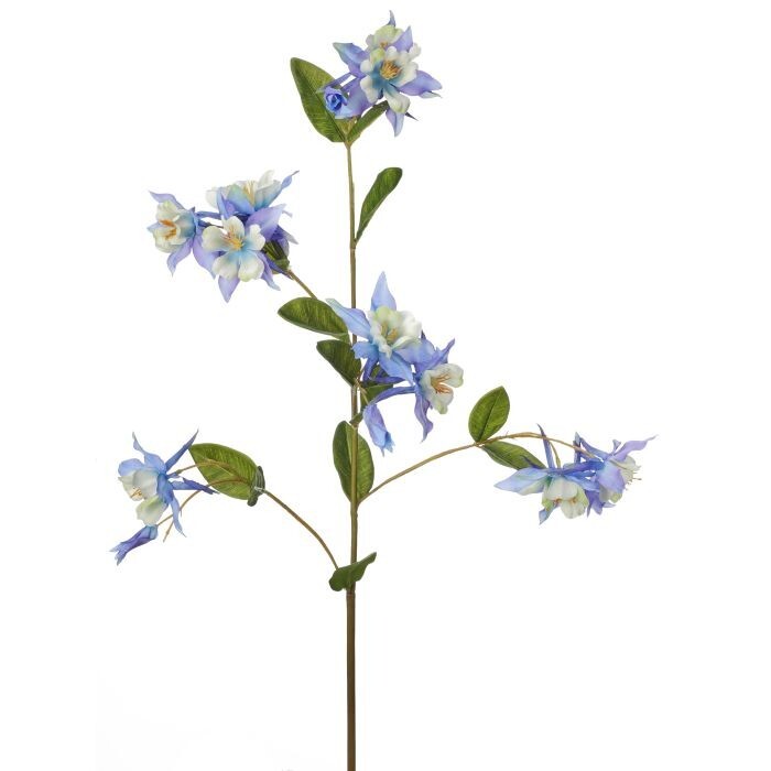 Columbine Spray 36"
