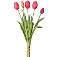 Pl Soft Touch Tulip Bundlex5 15.25