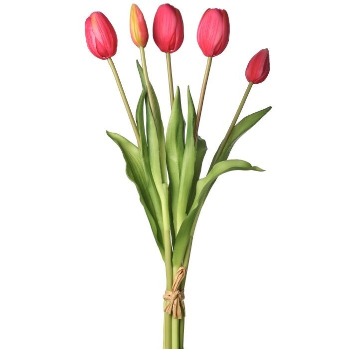 Pl Soft Touch Tulip Bundlex5 15.25"