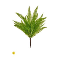 Uv Prf Nat Touch Deer Fern Bush 19