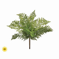 Uv Prf Nat Touch Lady Fern Bush 19
