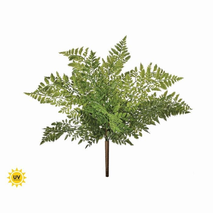 Uv Prf Nat Touch Lady Fern Bush 19"