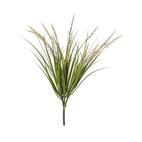 Pl. Wheat Grass Bush 21