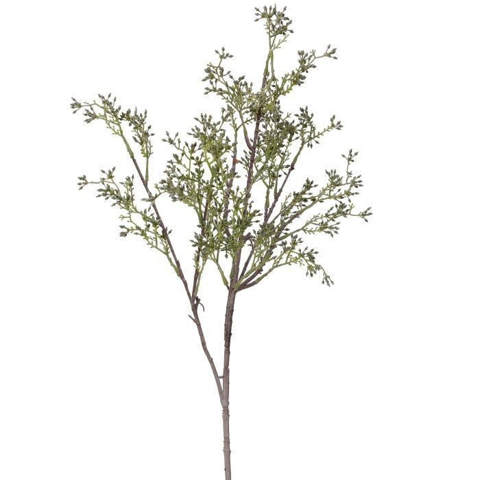 Pl. Eucalyptus Seed Spray 27"
