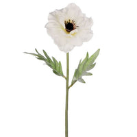 Anemone Stem 17