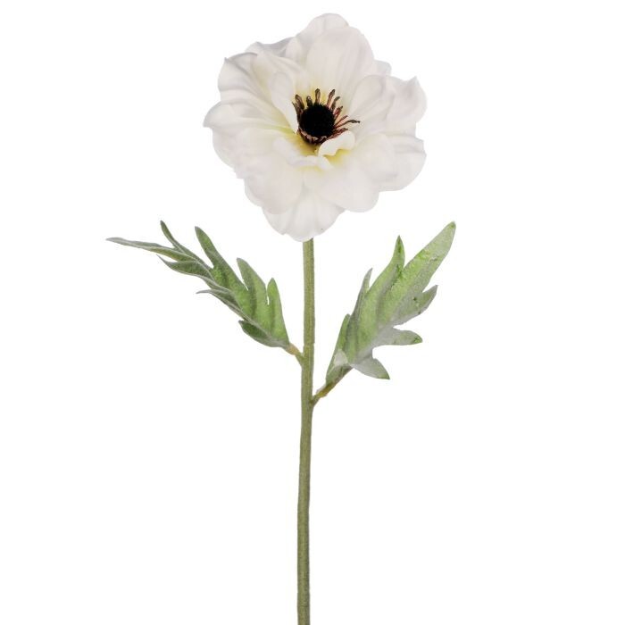 Anemone Stem 17"