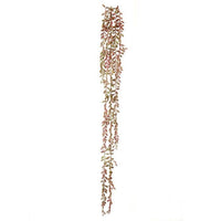 Pl. Nat.Tch. Succulent Seed Vine X5 35