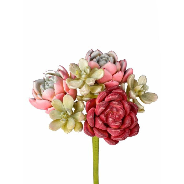 Summer Succulents Mixed Pick 8"