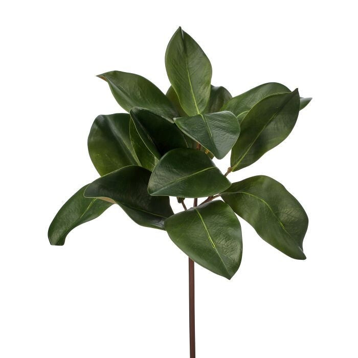 16"Natural Touch Magnolia Leaf Spray