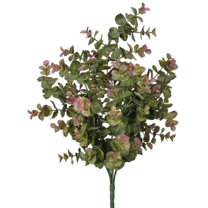 15.5" Pl Variegated Eucalyptus Bush