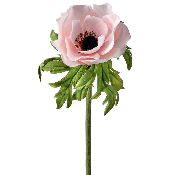 Just Cut Anemone 22"