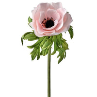 Just Cut Anemone 22