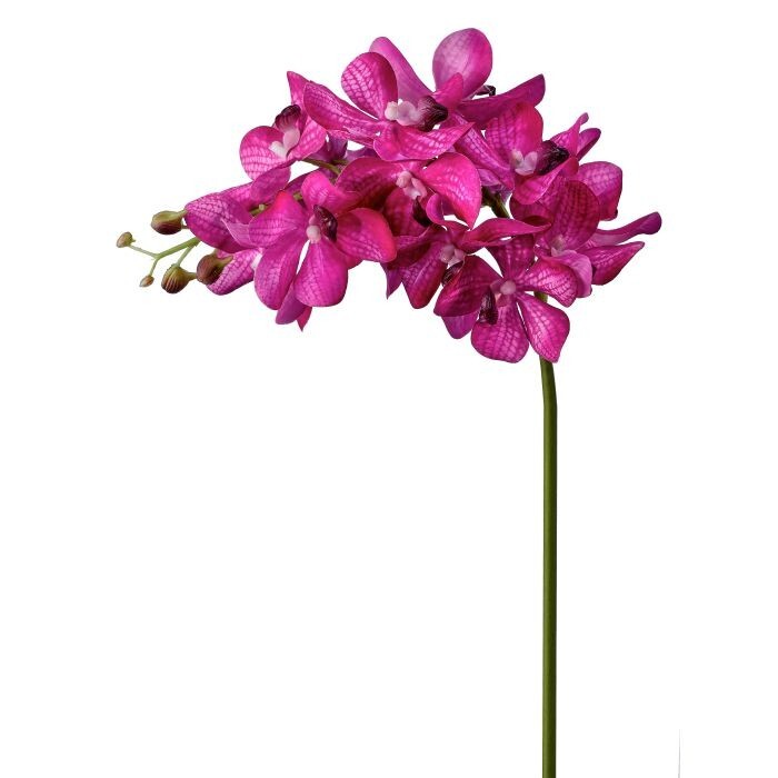 Just Cut Vanda Orchid Spray 27"