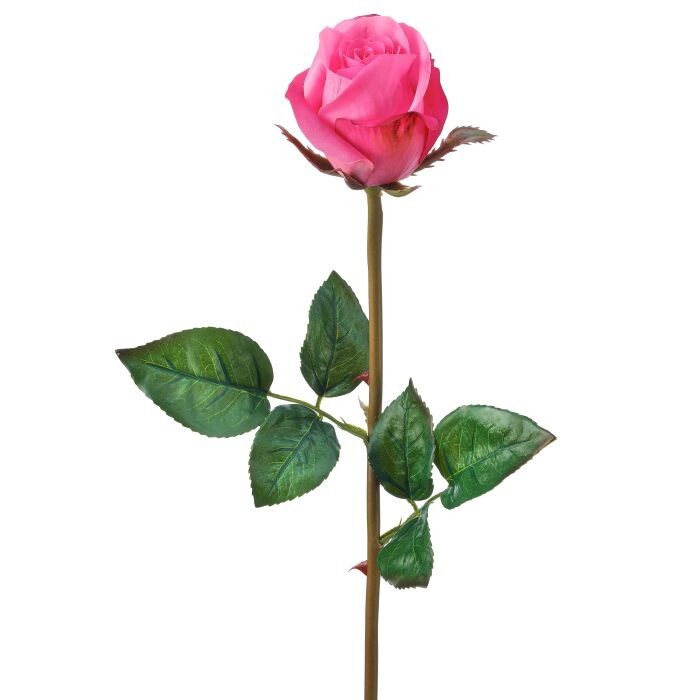 Just Cut Garden Rose Bud 23"