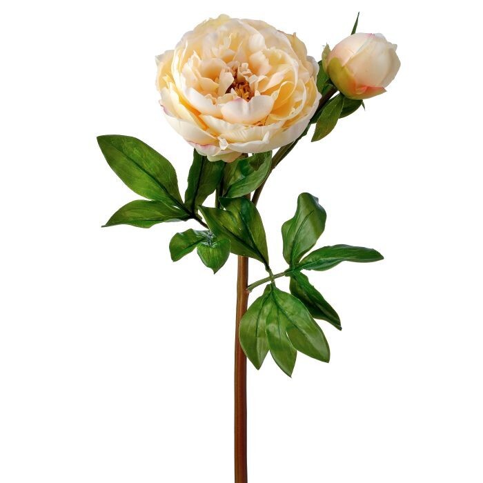 Just Cut Garden Peony & Bud 25"