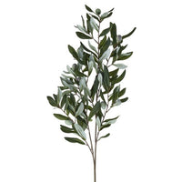 Andalusia Olive Branch 38