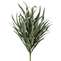 Dune Grass Bush 26