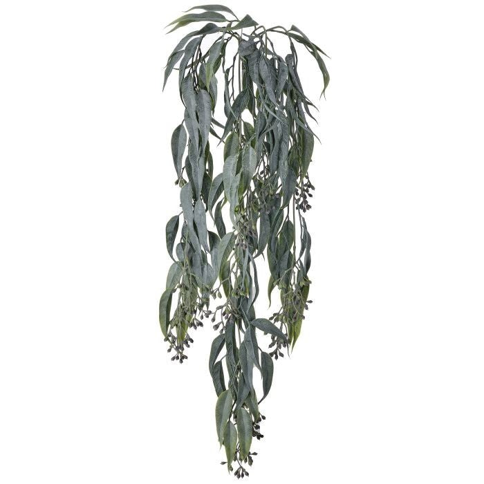 Pl. Seeded Eucalyptus Vine X4 29"