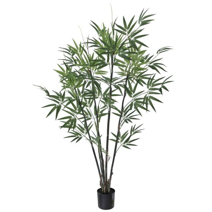 Ptd. Zen Bamboo Tree X447 4'