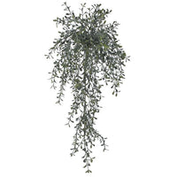 Pl. Hanging Tealeaf Bush 22