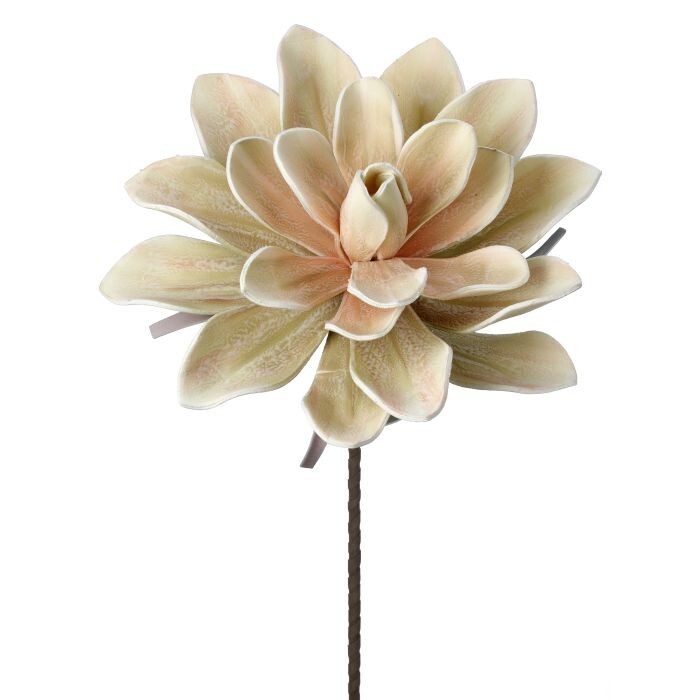 Foam Hen Succulent Spray 38"