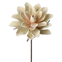 Foam Hen Succulent Spray 38