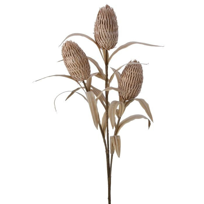Foam Cone Protea X3 39"