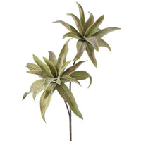 Foam Double Yucca Spray 45