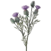 Pl. Irish Thistle Spray 21