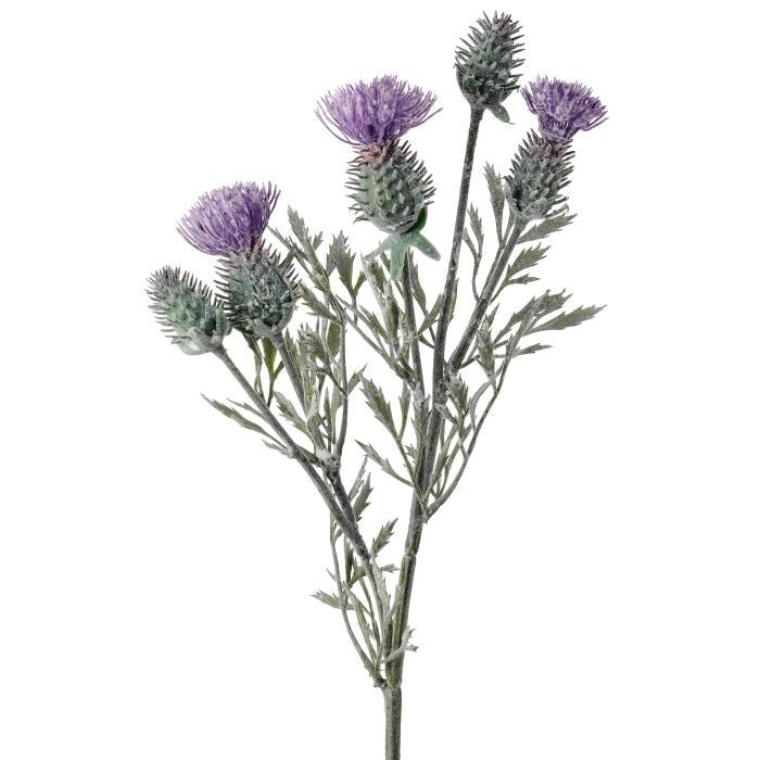 Pl. Irish Thistle Spray 21"