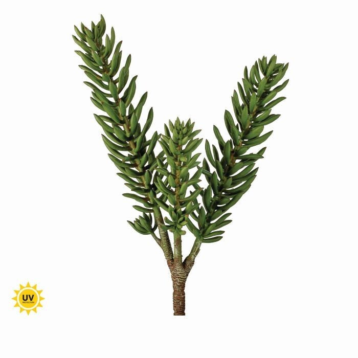 Pl. Uv Brush Succulent Plant X2 20"