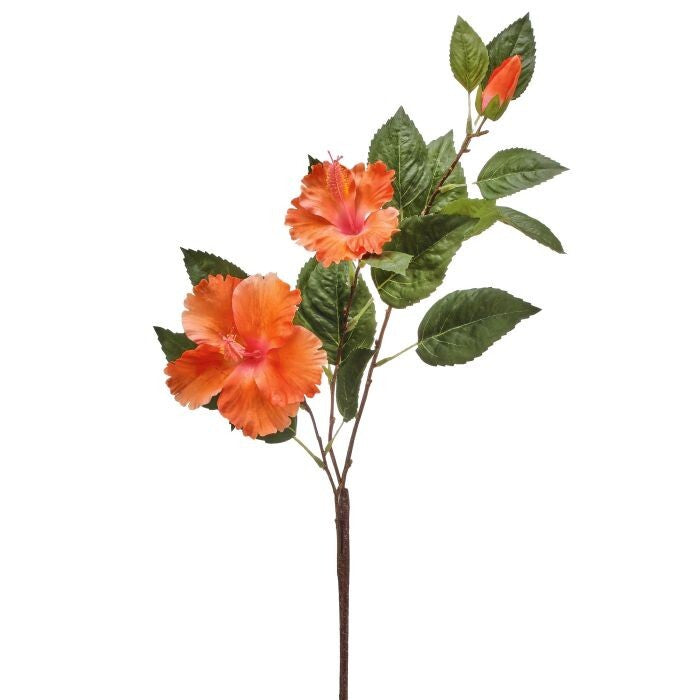 Double Hibiscus & Bud 29"