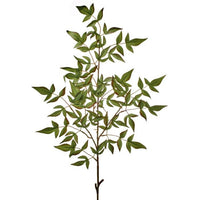 Nandina Spray 38.5