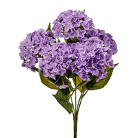 Nat Tch Garden Hydrangea Bush X5 22