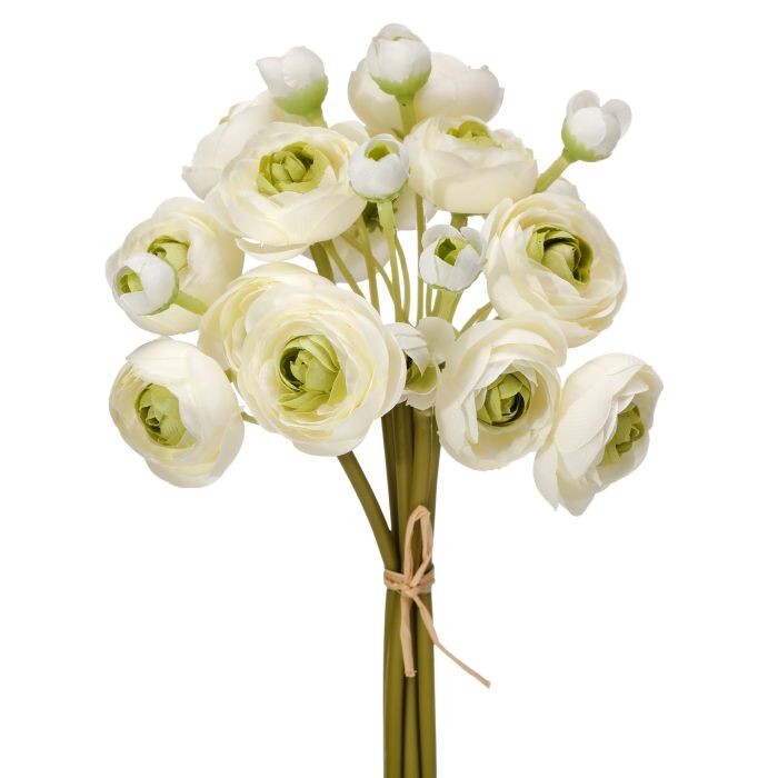 Garden Ranunculus Bundle X6 11"