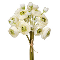 Garden Ranunculus Bundle X6 11