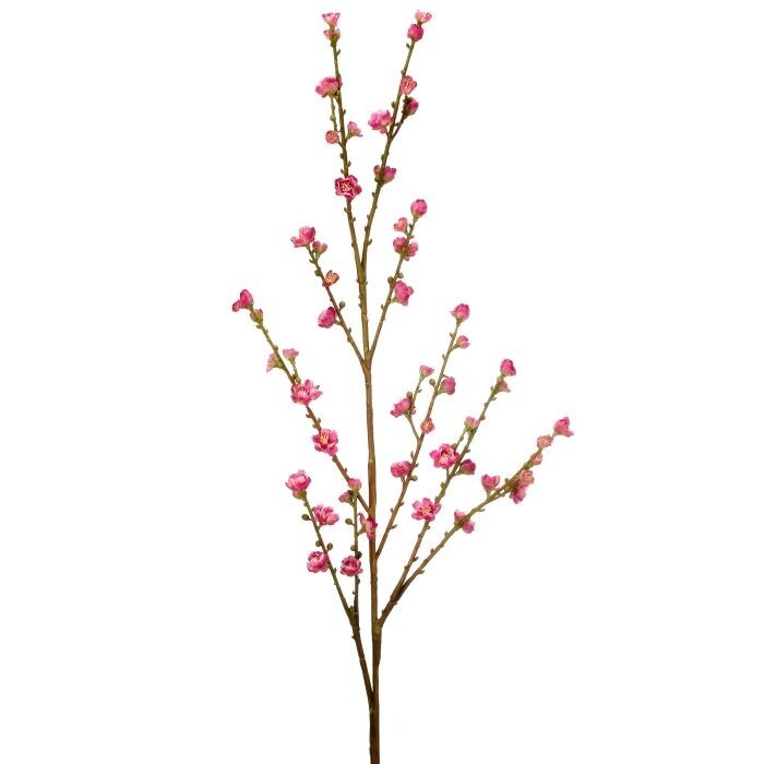 Plum Blossom Spray 43"
