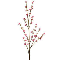 Plum Blossom Spray 43