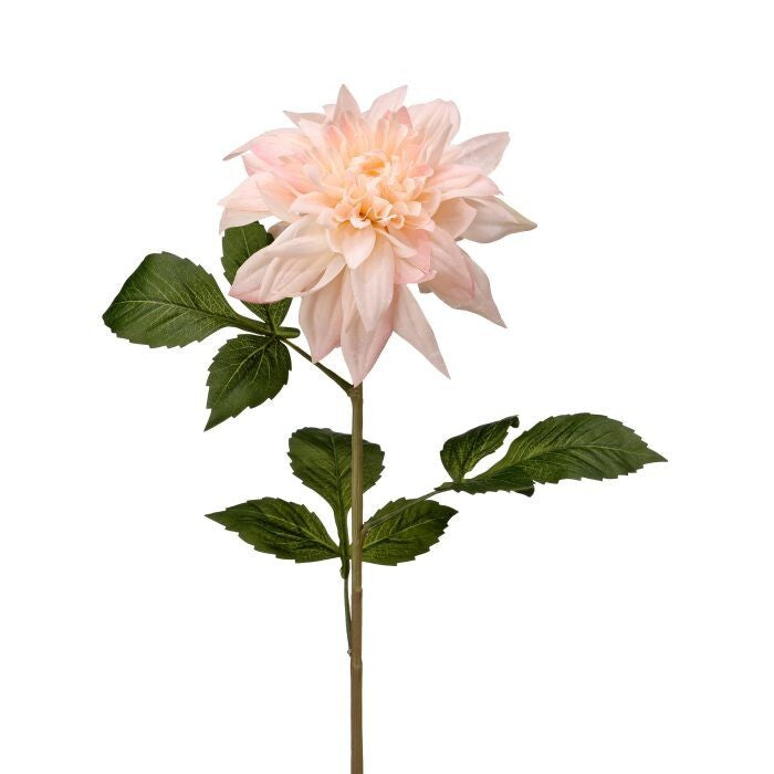 Painted Dahlia Stem 29"