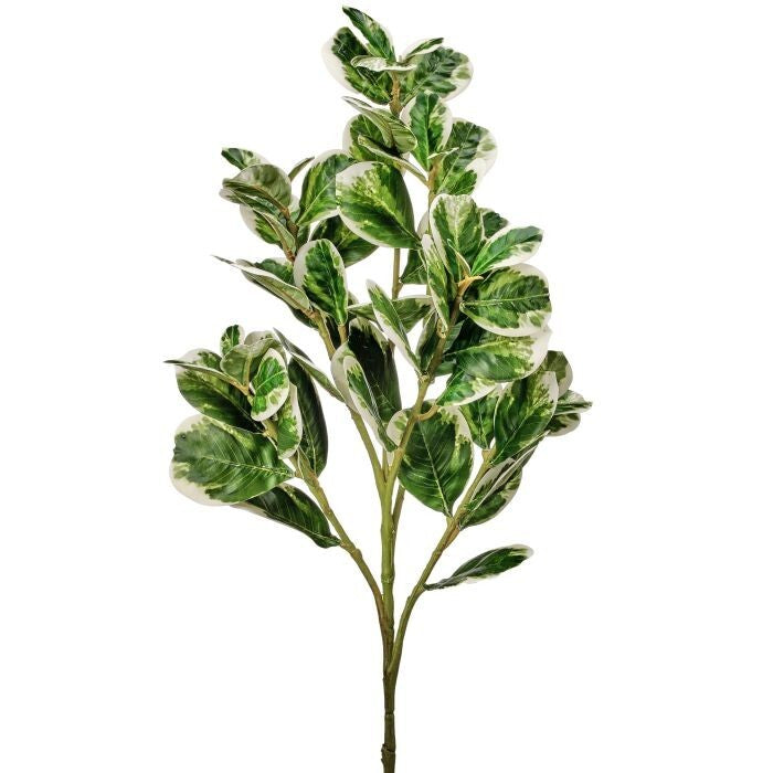 25" Pu Real Touch Pittosporum Spray