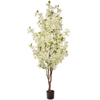 Bougainvillea Tree 6'