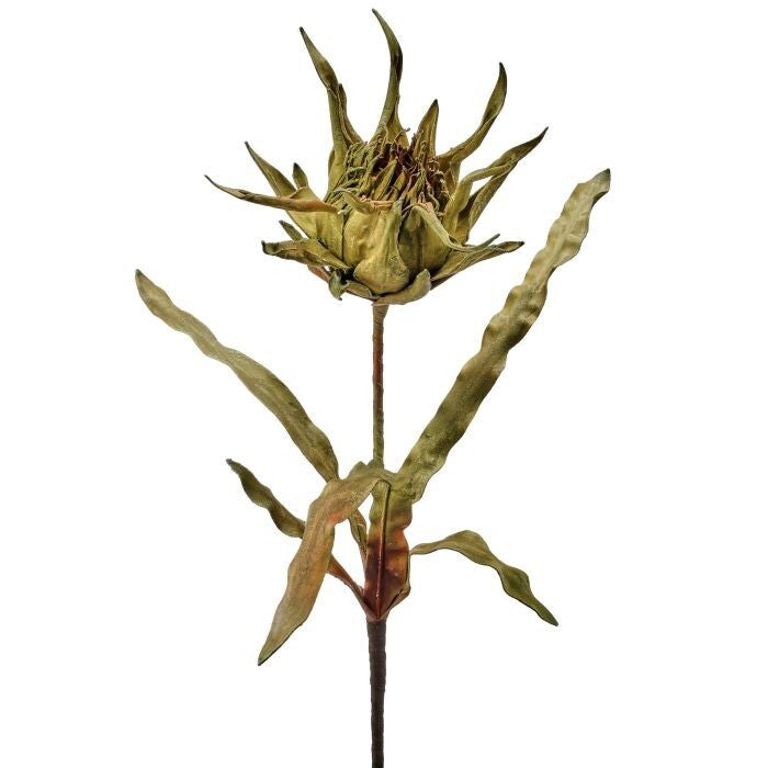 Foam Artichoke Protea 40"