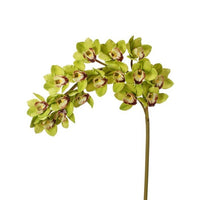 Natural Touch Grand Cymbidium Spray X16 45