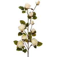 Just Cut Garden Rose Branch 37