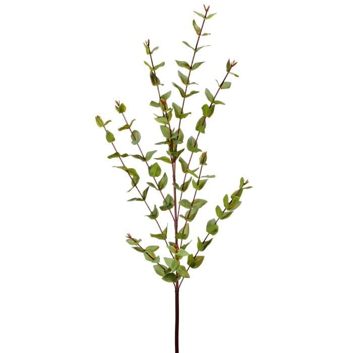38" Nat Touch Mini Eucalytpus Spray