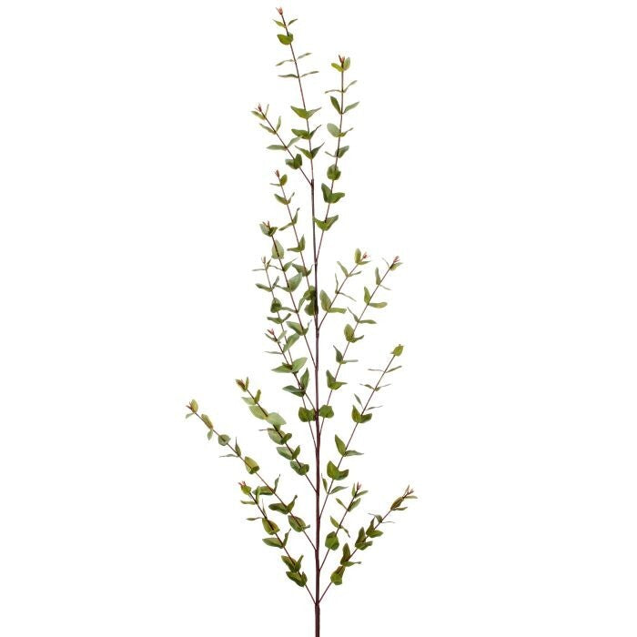 Nat Touch Mini Eucalyptus Branch 56"