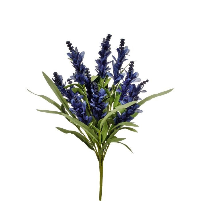 Budding Firecracker Salvia Bush 20"
